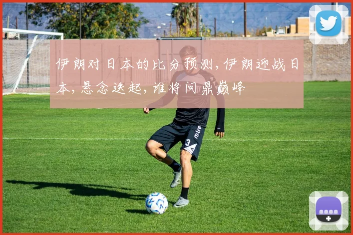 伊朗对日本的比分预测,伊朗迎战日本,悬念迭起,谁将问鼎巅峰