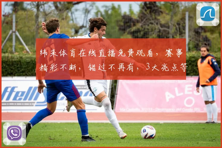 纬来体育在线直播免费观看，赛事精彩不断，错过不再有，3大亮点等你发现