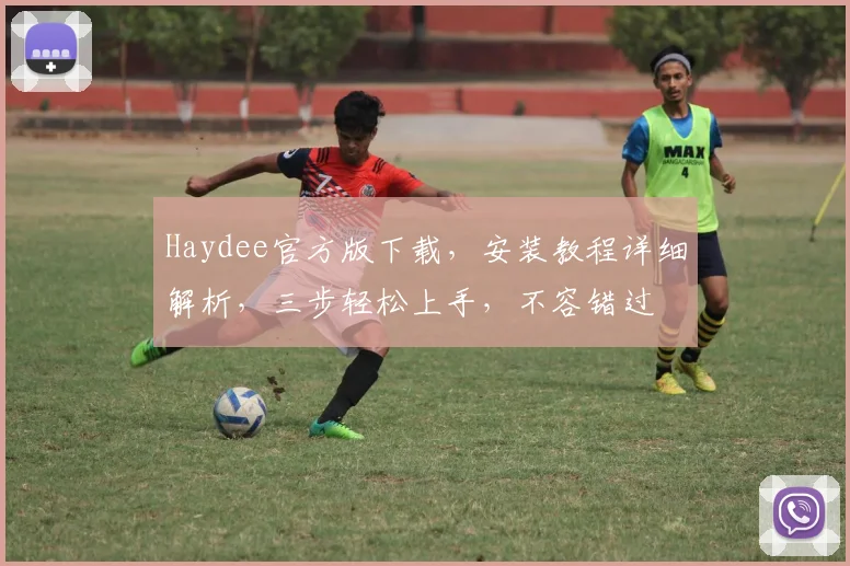 Haydee官方版下载，安装教程详细解析，三步轻松上手，不容错过